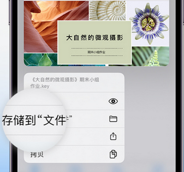 古塔apple维修中心分享iPhone文件应用中存储和找到下载文件