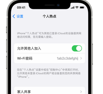 古塔apple服务站点分享iPhone上个人热点丢失了怎么办 