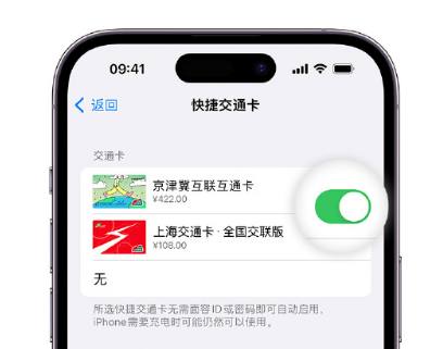 古塔apple维修点分享iPhone上更换Apple Pay快捷交通卡手绘卡面 