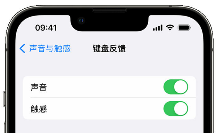 古塔苹果手机维修分享iPhone 14触感键盘使用方法 