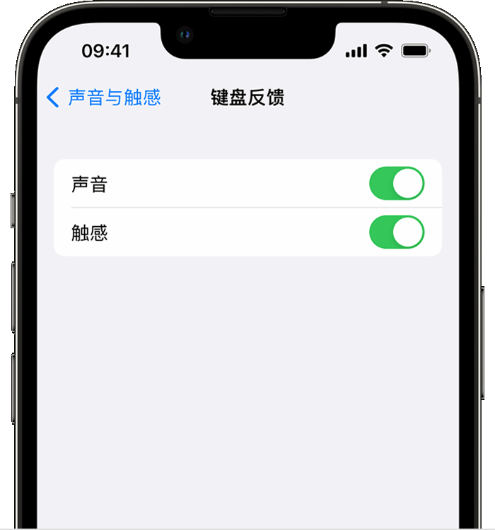 古塔苹果14维修店分享如何在 iPhone 14 机型中使用触感键盘 