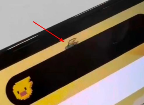 古塔苹果14维修分享iPhone 14 Pro Max灵动岛怎么养宠物 