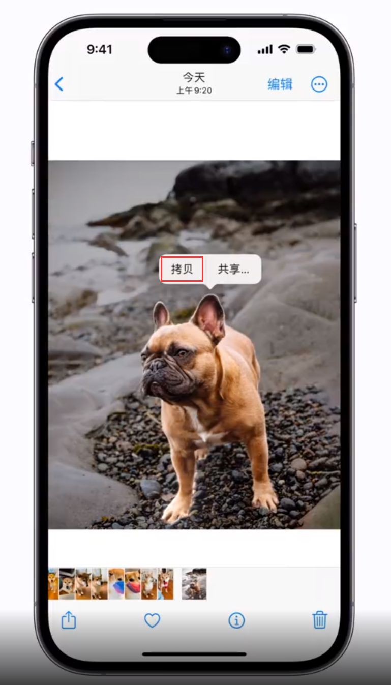 古塔苹果手机维修分享 iOS 16 自带一键抠图功能 