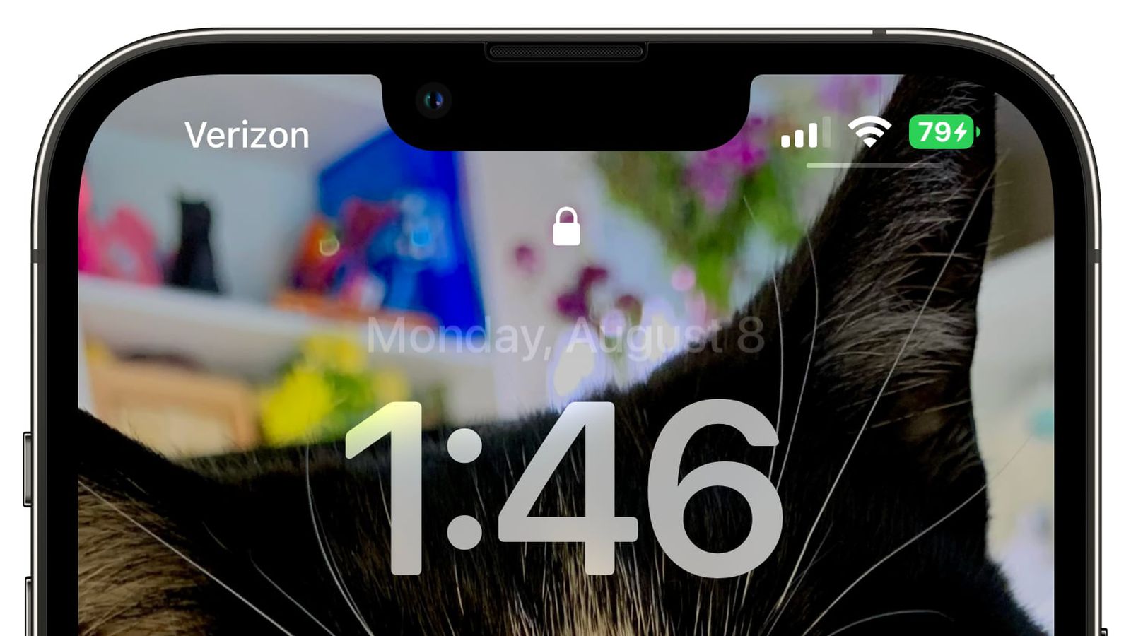 古塔苹果手机维修分享iOS 16 beta 5 支持状态栏显示电池百分比，如何开启？支持哪些机型 