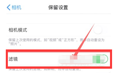 古塔苹果13维修分享iPhone13拍照有绿点是怎么回事 