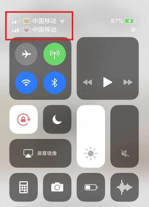 古塔苹果手机维修分享为 iPhone 12 双卡设置标签 